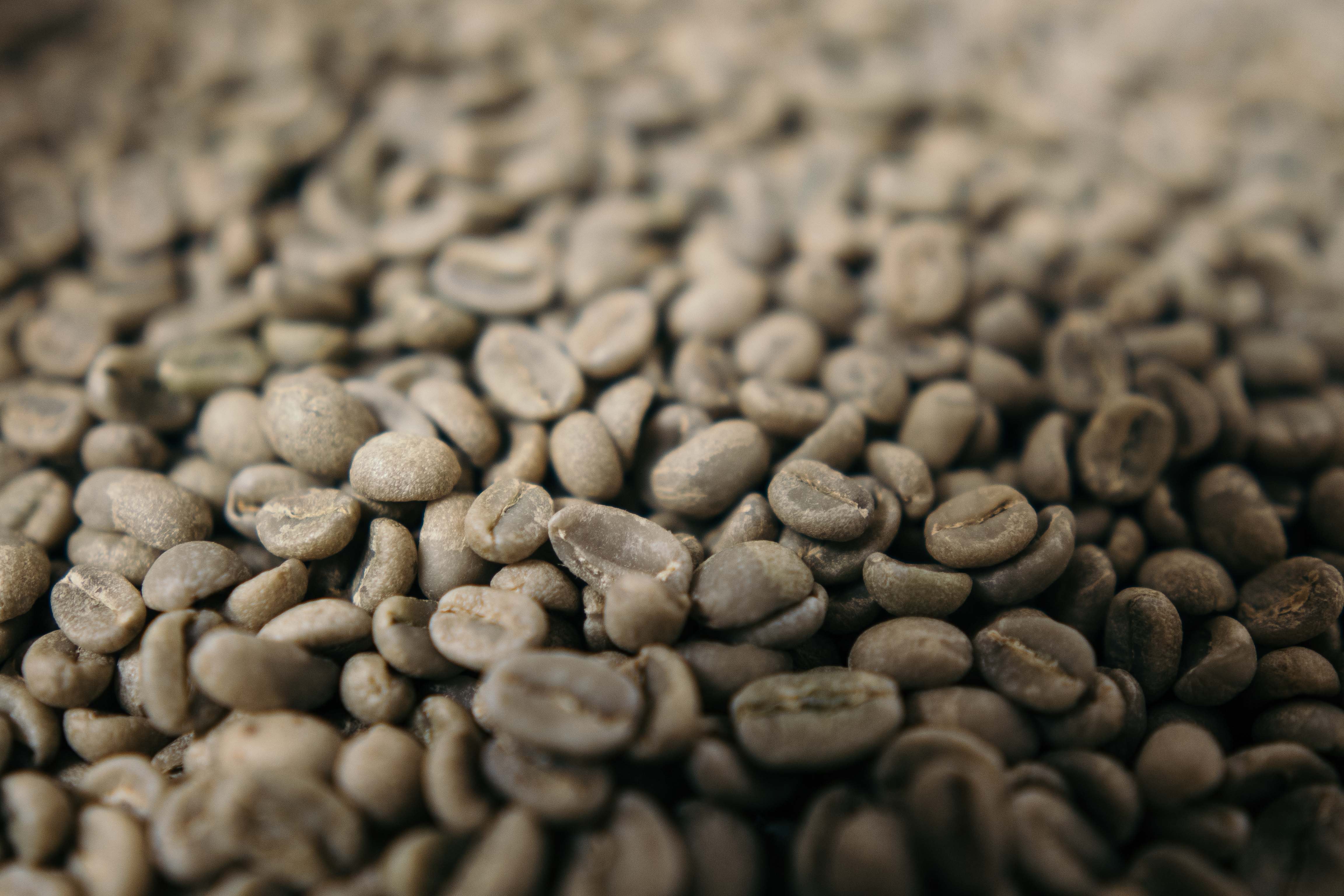 Akiya raw coffee bean