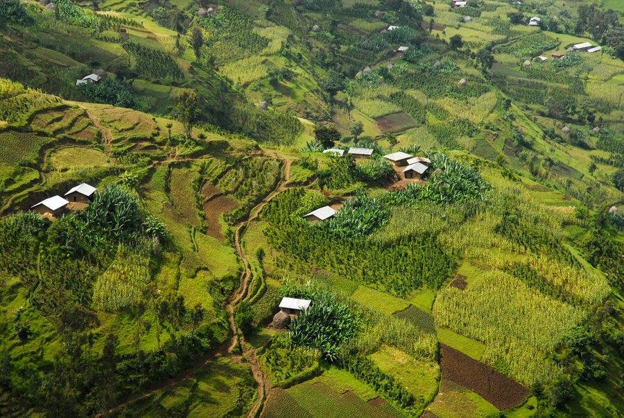 Yirga chefe coffee origin landscape